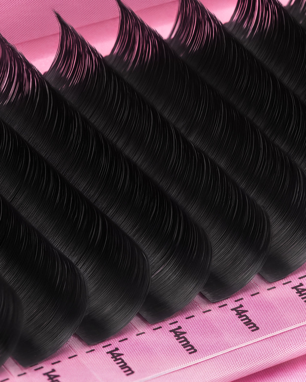 MIDNIGHT MELT- Lash Tray