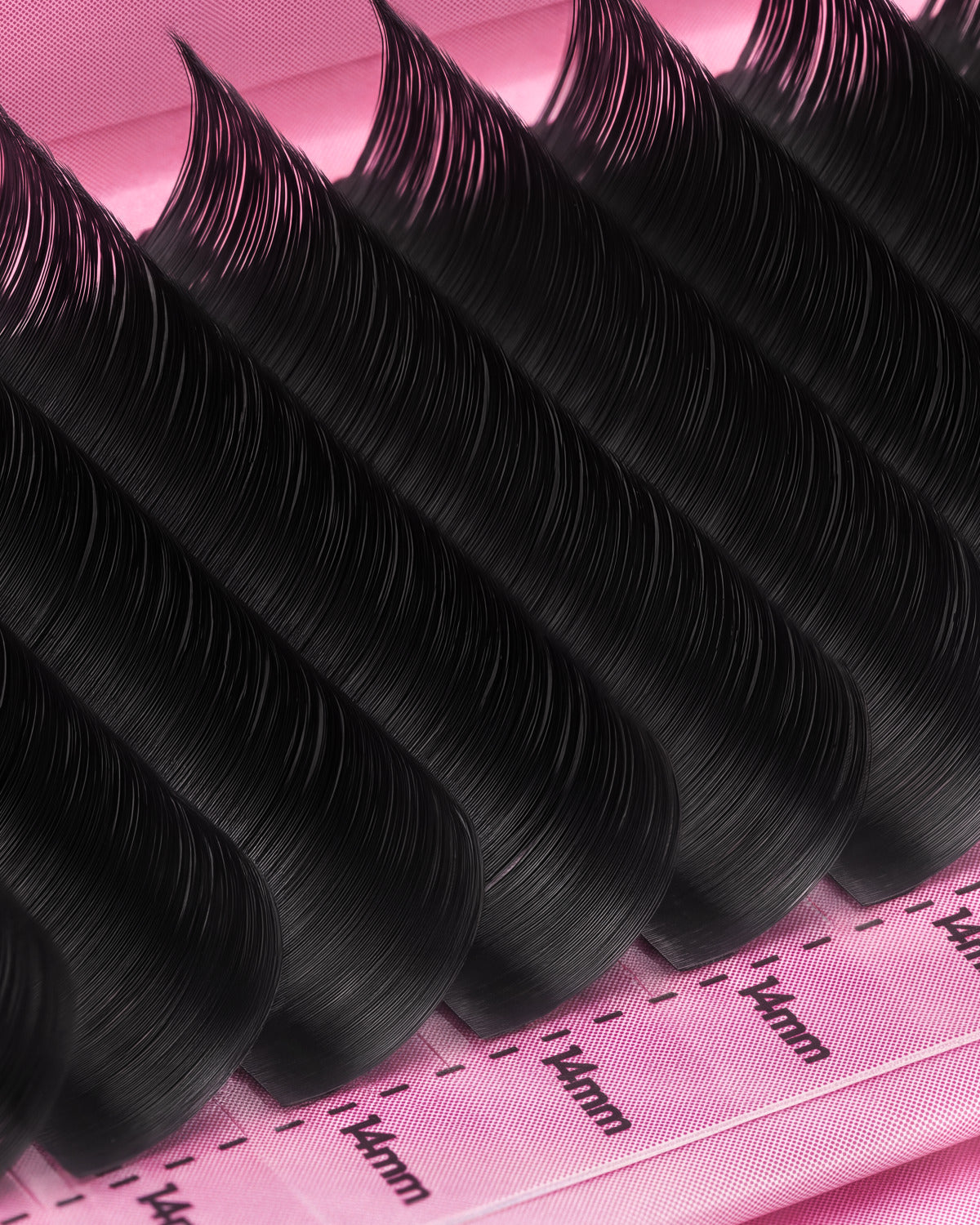 MIDNIGHT MELT- Lash Tray